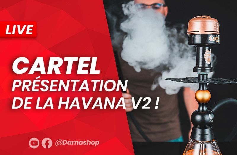 New Cartel: presentation of the small Cartel Havana V2 hookah